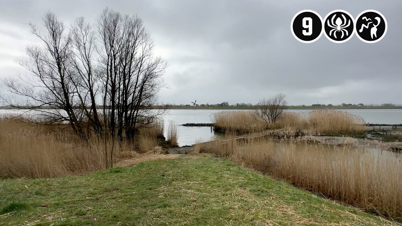 Overleden baby gevonden in rivier de Lek