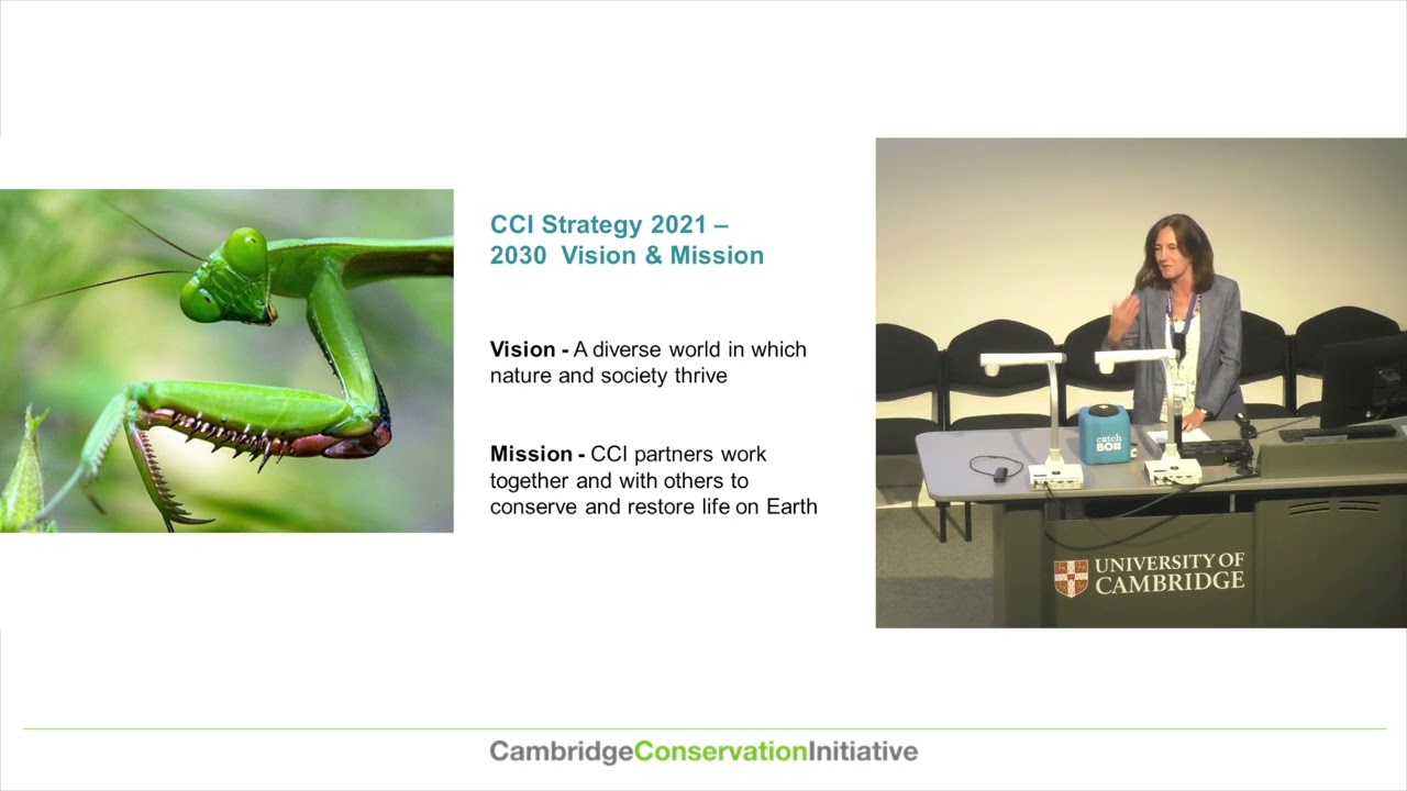 Growing our Ambition:  Reflecting on and reaffirming CCI&rsquo;s vision and strategy