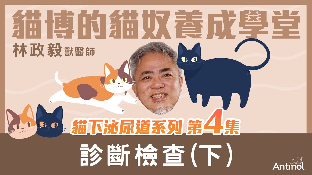 貓下泌尿道系列_第4集｜診斷檢查(下)｜貓博的貓奴學堂