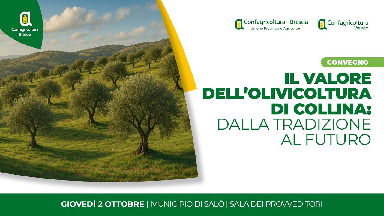 OLIO: Convegno 
