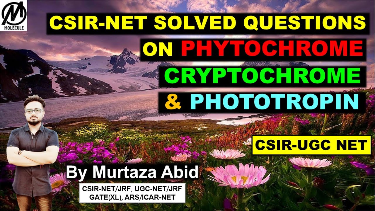 PHOTOSENSORY BIOLOGY SOLVED QUESTIONS || PHYTOCHROME, CRYPTOCHROME, PHOTOTROPIN, PHOTOMORPHOGENESIS