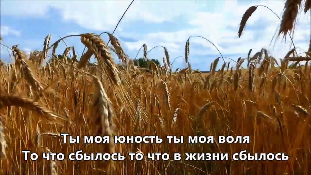 Русское поле