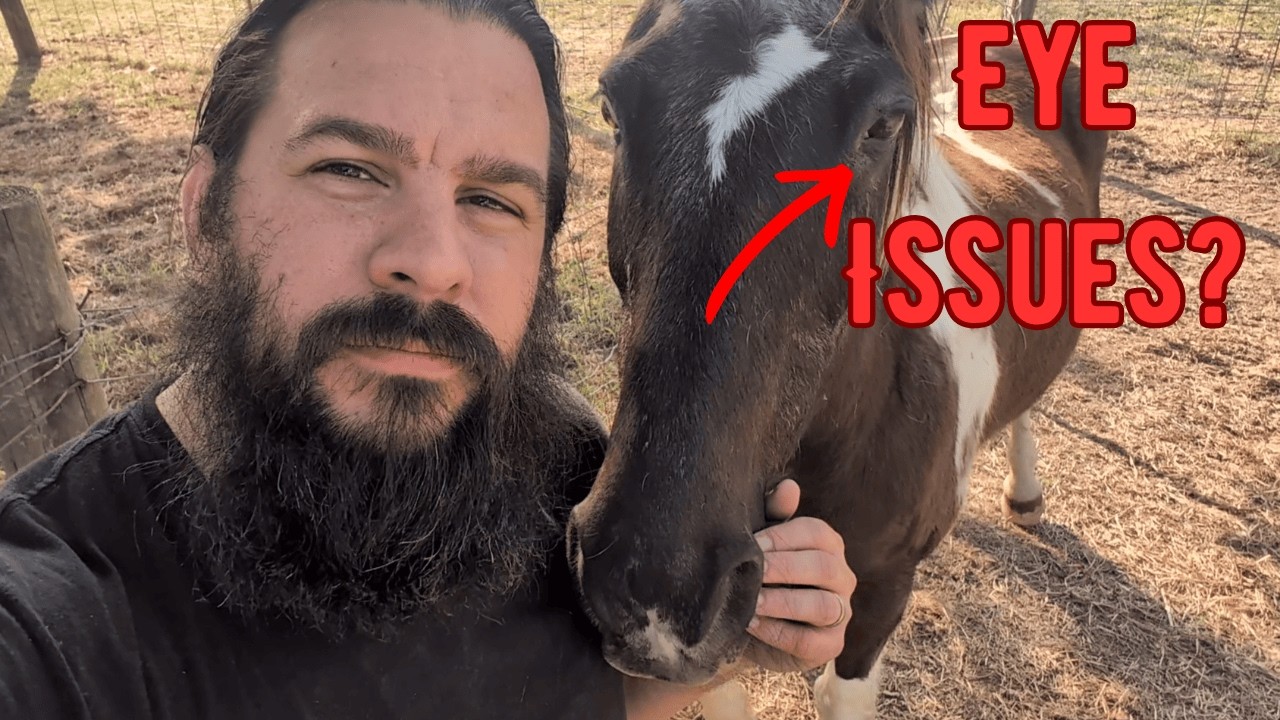 Checking Electra's Eye & Some Lovin All Around