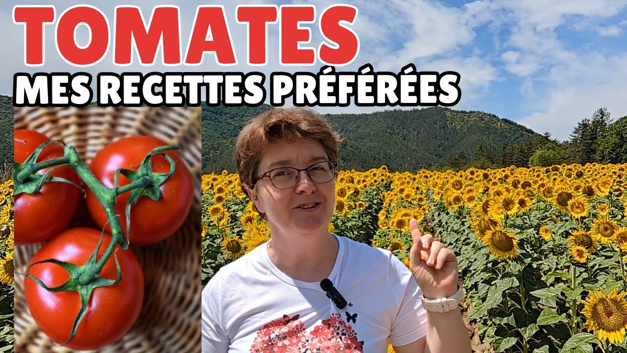 👉mes RECETTES pr&eacute;f&eacute;r&eacute;es de TOMATES, des recettes faciles et rapides 😋