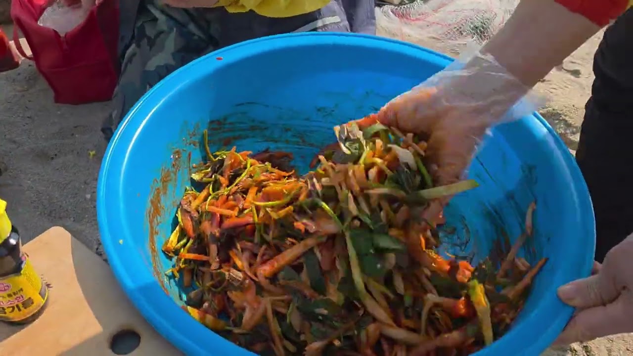 #강원도고성    물치항  기수지역에서 원투형님  사응환형님 포천 형님  대숭어  맛좀 보세요^-^회덮밥  맛이  끝내줍니다~~~