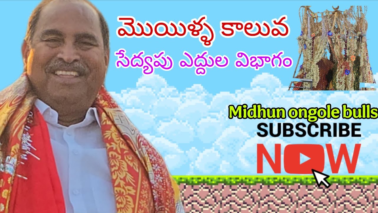 మొయిళ్ళ కాలువ సేద్యపు ఎద్దుల విభాగంలో 4 లెనిన్ ఎంటర్ప్రైజెస్ పొట్టే పాలెం