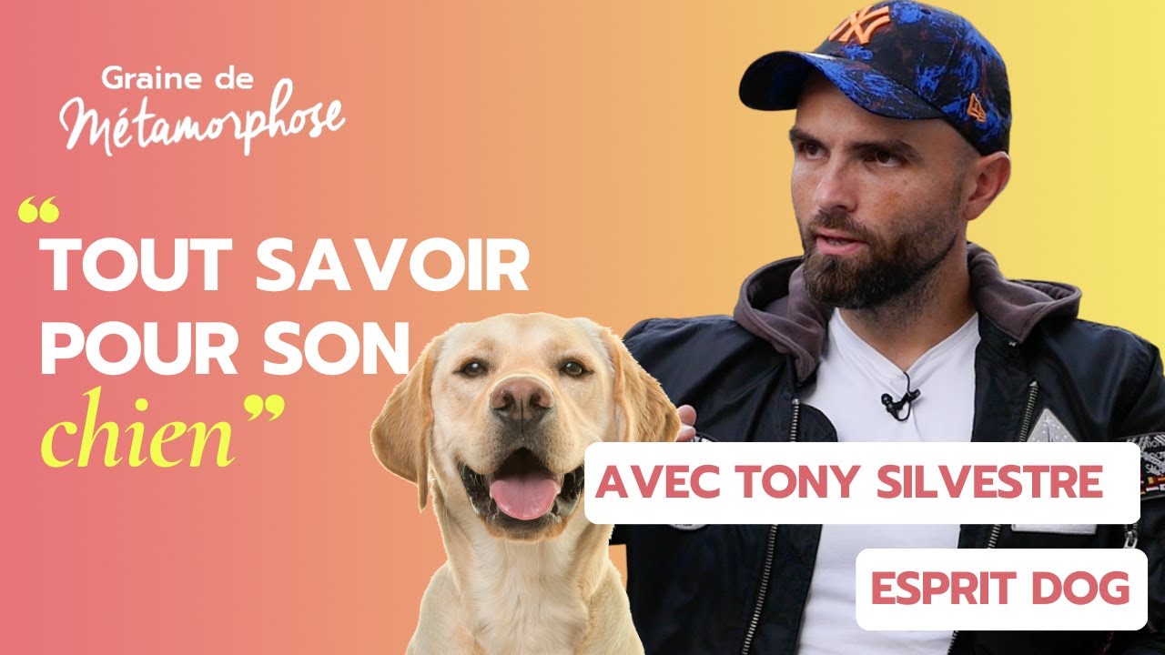 Eduquer son chien : tous les meilleurs conseils avec @Esprit Dog  (Tony Silvestre) #121
