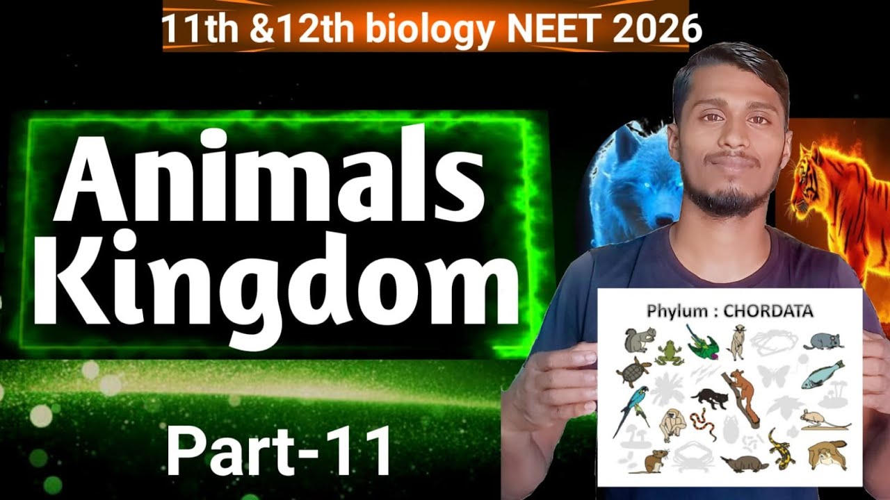 Animal kingdom #11 | 11th and 12th Biology | NEET 2026 full concept | BY-PANKAJ KASHYAP 