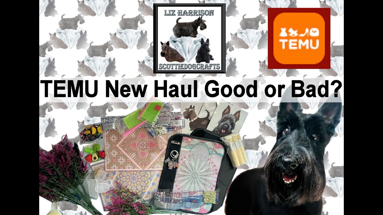 Diamond Painting | UNBOXNG | TEMU | NEW Diamond Painting Items & More | #temu #temuhaul