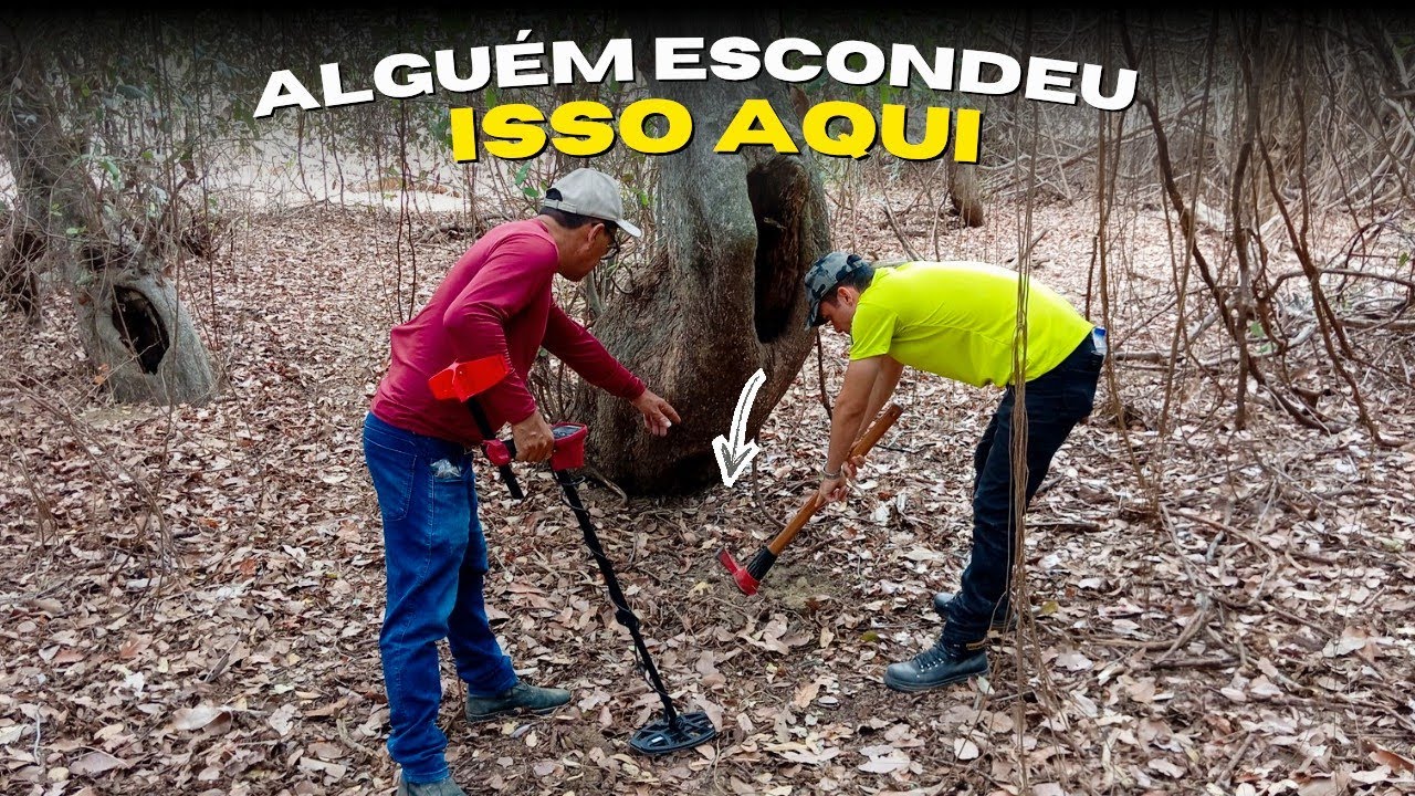 O DETECTOR APITOU NO PÉ DA ÁRVORE… E O QUE ENCONTRAMOS NOS SURPREENDEU! ⛏️😯
