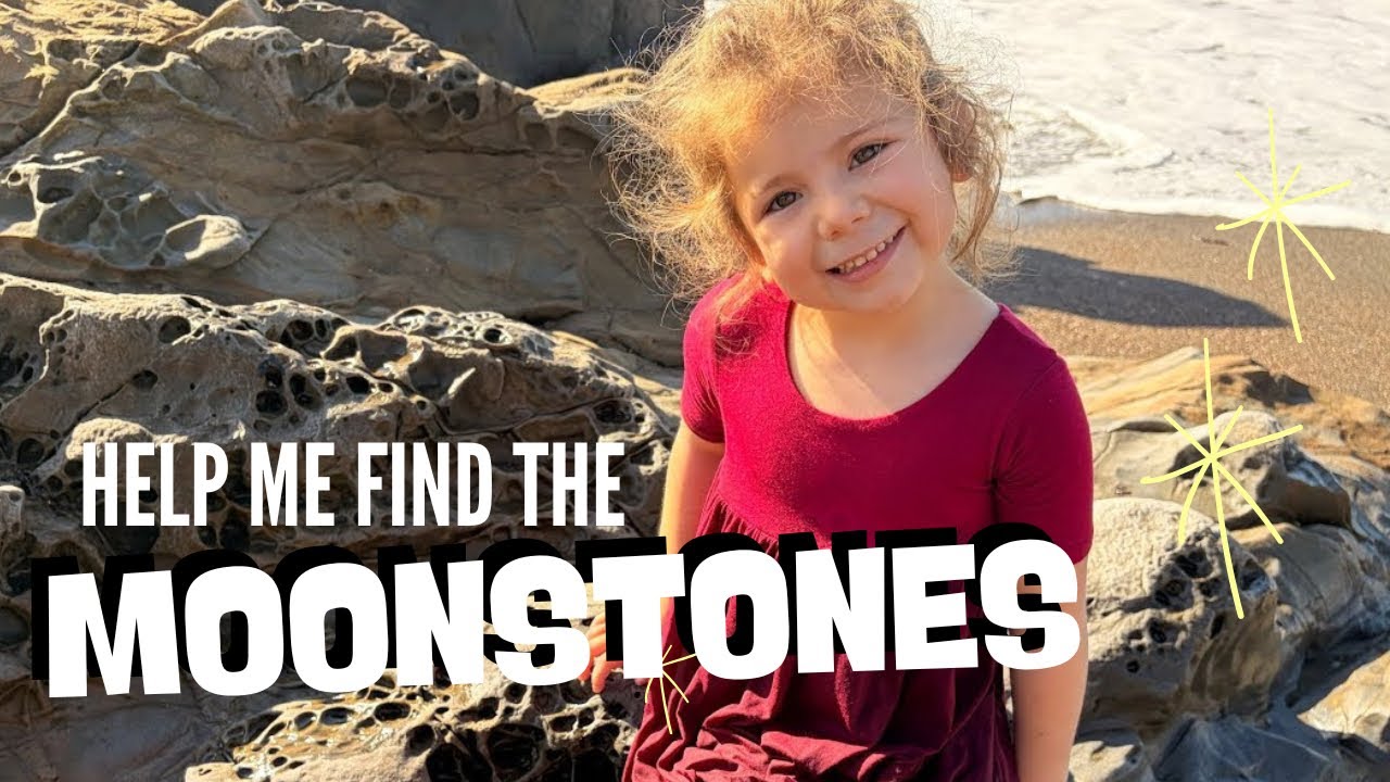 Abby PLAYS at MOONSTONE BEACH & learns about the COASTAL LIFE