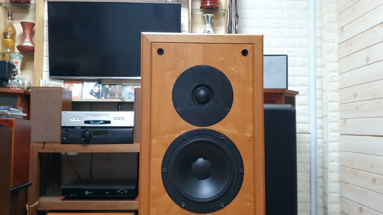💥 (Đã GL)Dynaudio Contour 3.0 vân nu quá đẹp, trùng sezi ạ. giá 51tr. (0982922168) zalo.!