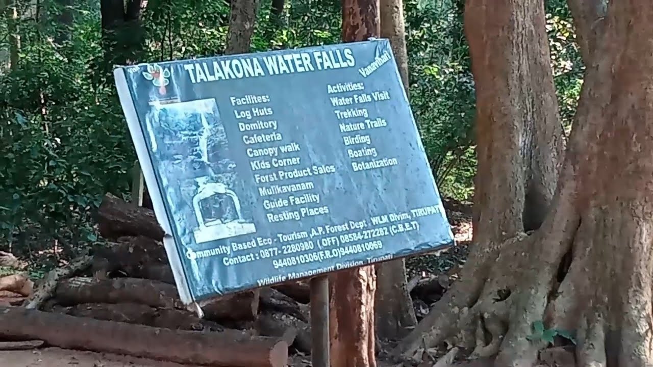 Jungle Safari near Talkona Waterfall, Andhra Pradesh