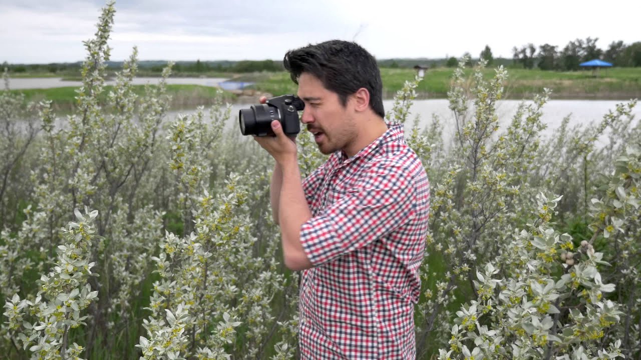 Практические полевые испытания Panasonic FZ1000