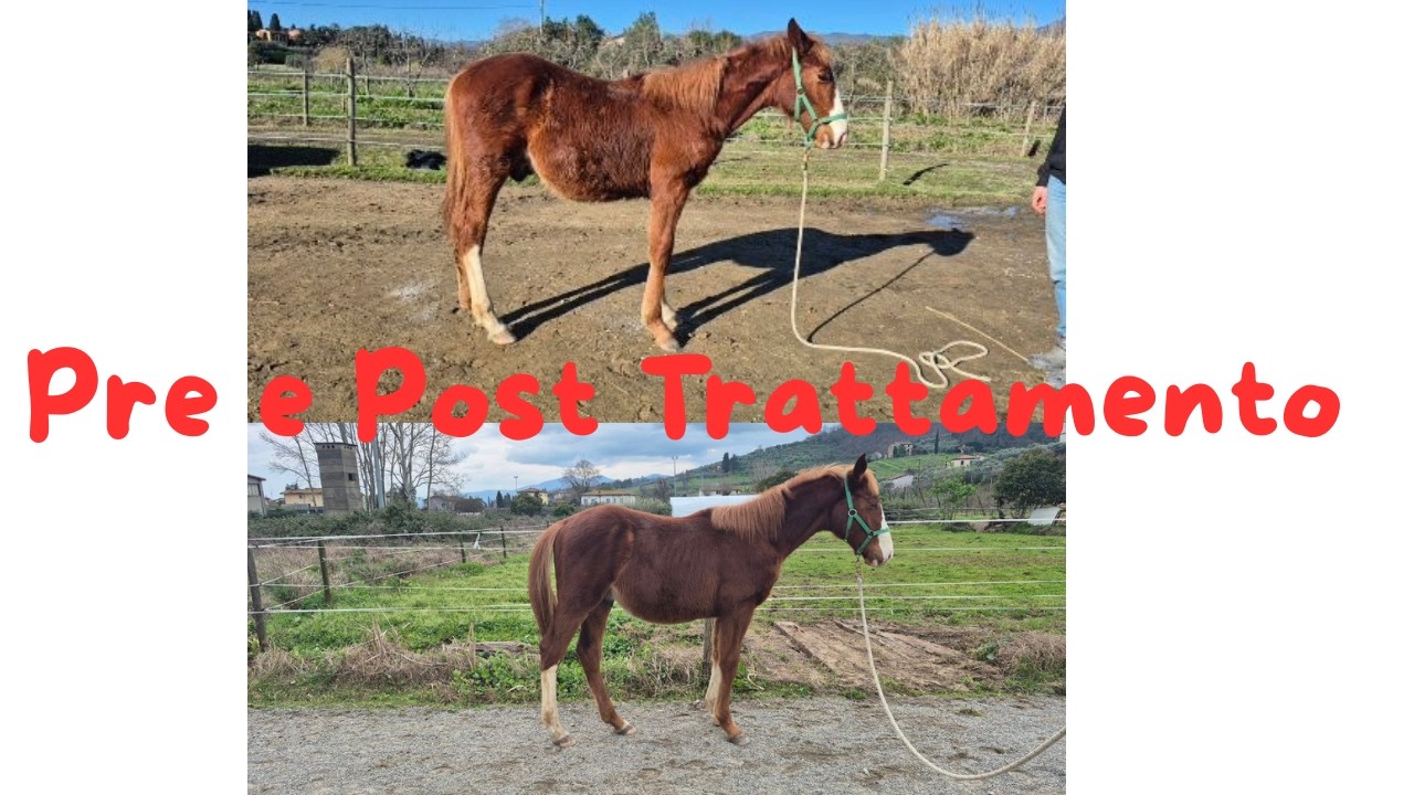 Pre e Post trattamenti a distanza di 20 giorni