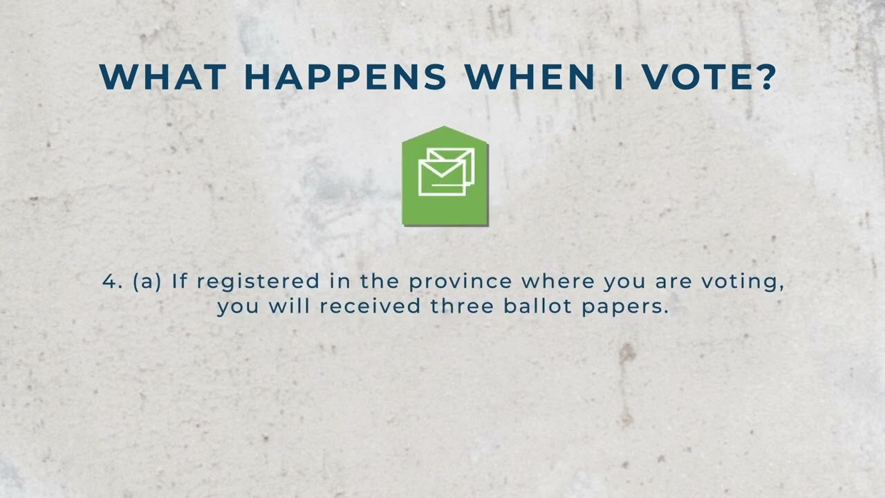 What happens if my special vote application is successful?