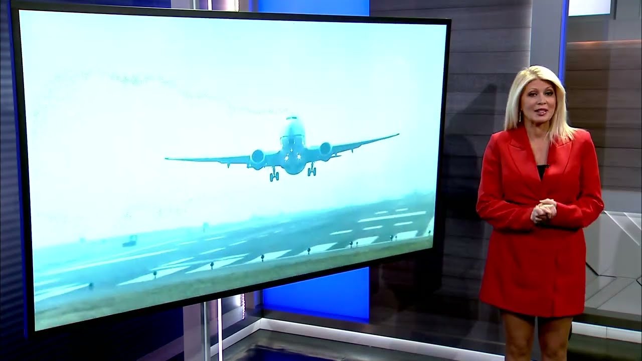 Local aviation expert says travelers should feel safer knowing FAA put safety system in place