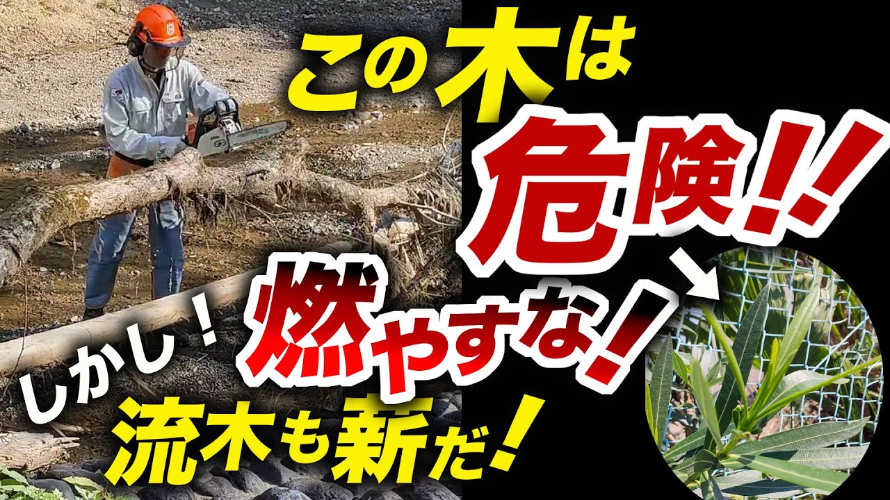【燃やすと毒！】危険な薪！が存在します！