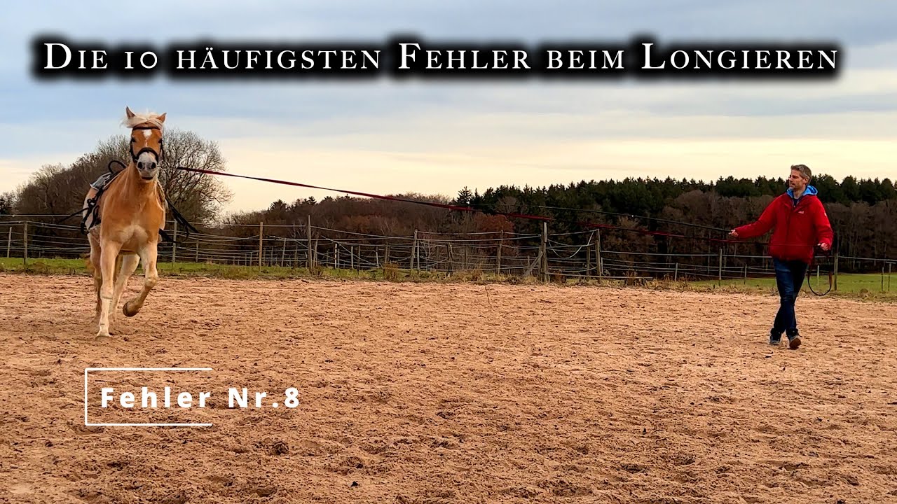 10 häufigste Fehler beim Longieren | 🐴