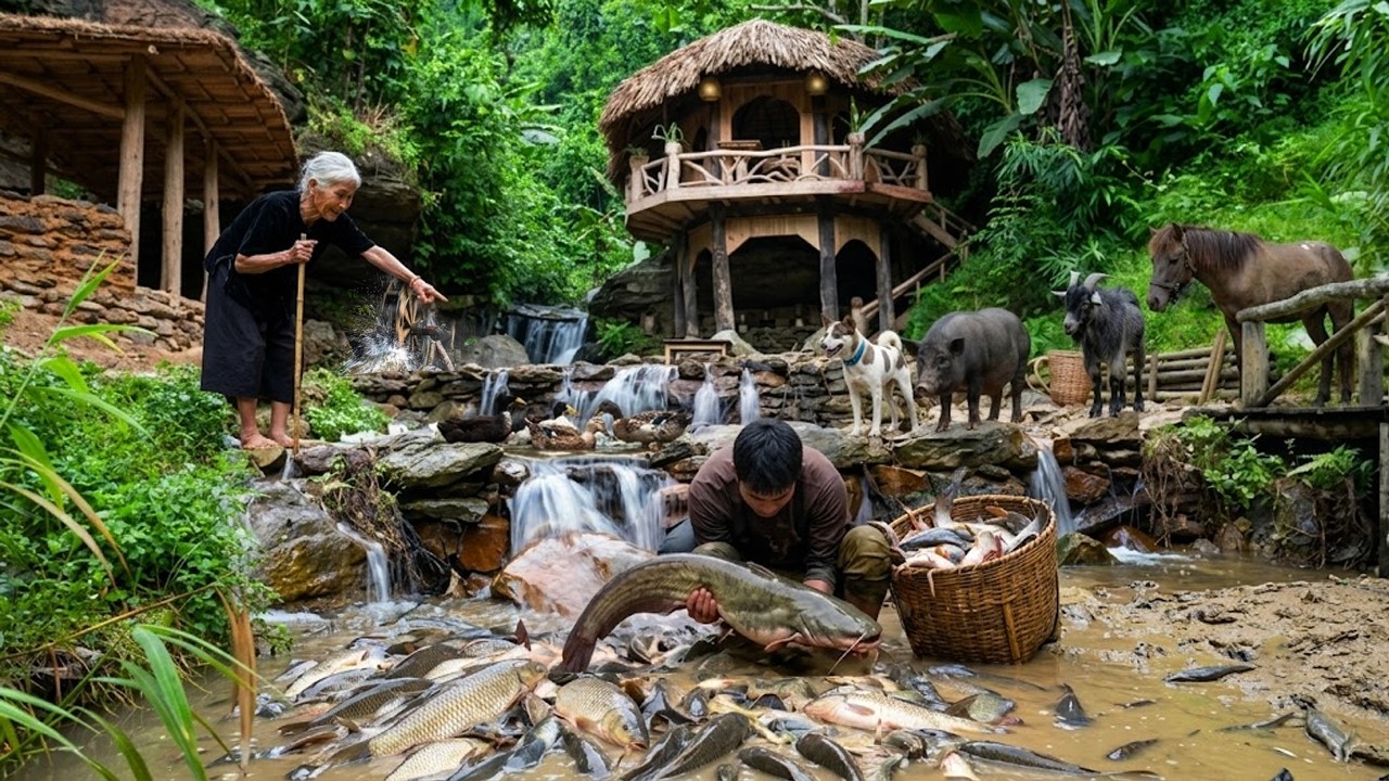 Helping an Elderly Woman Catch Fish in the Countryside | Bringing Fish to Raise at Bushcraft Farm