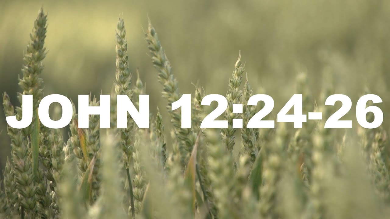 Burying Our Lives | John 12:24-26