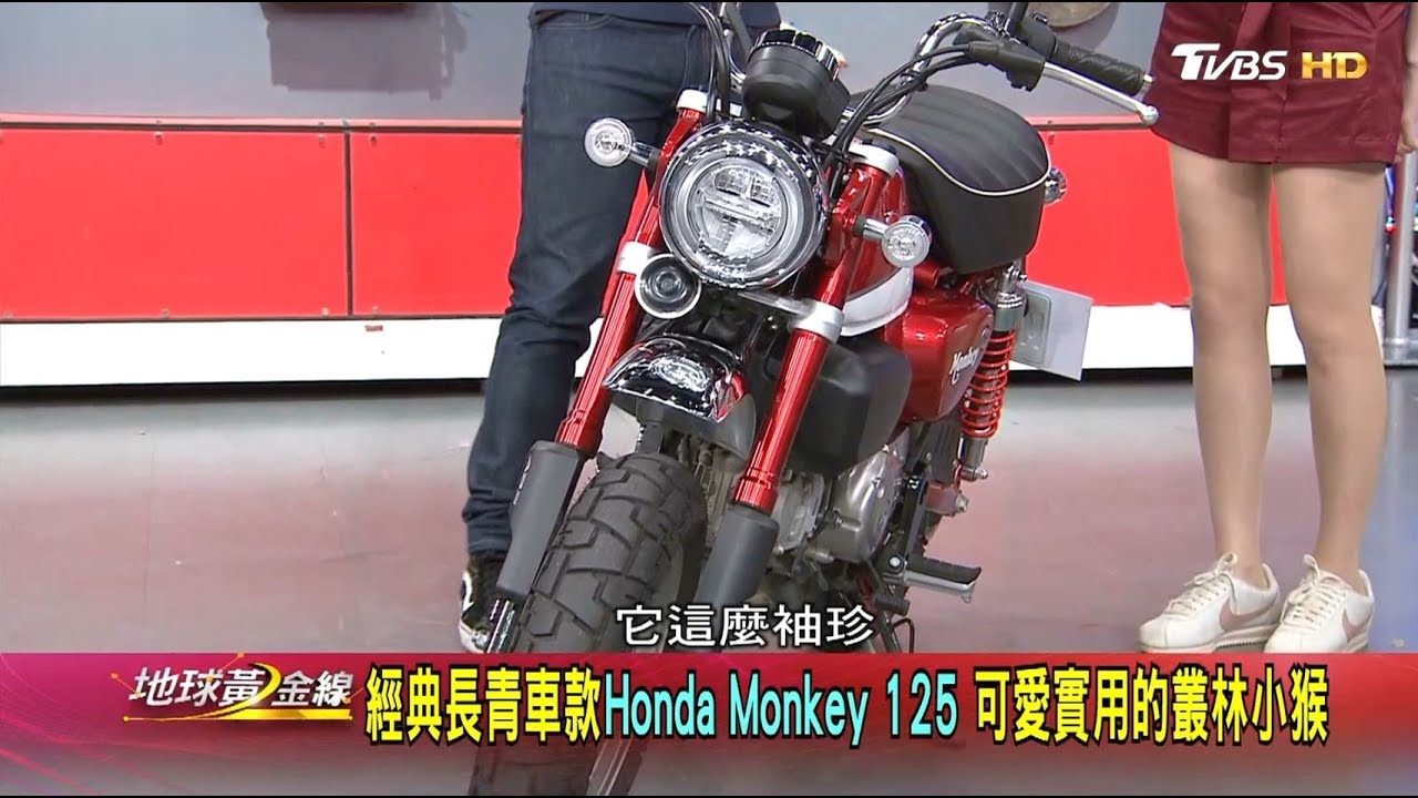 經典長青車款Honda Monkey 125 可愛實用的叢林小猴 地球黃金線 20190717 (2/4)