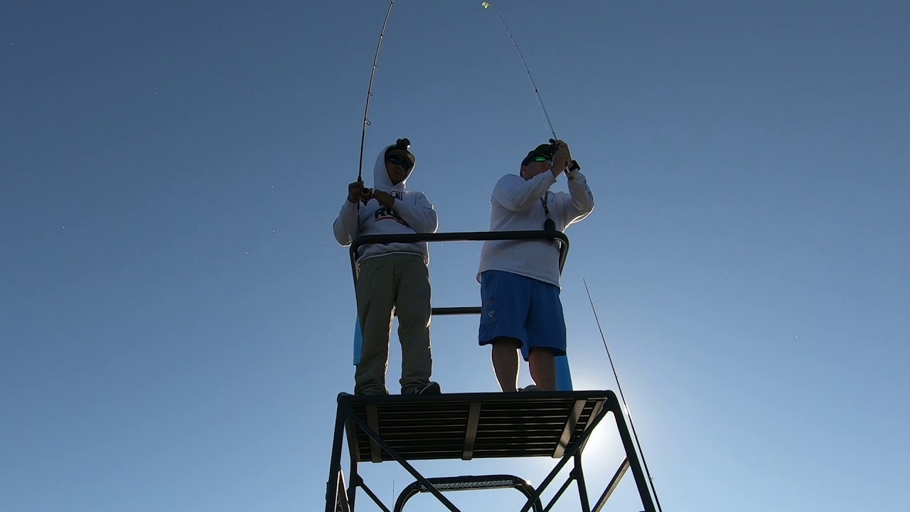 Tower Sight Fishing Simmons Widebody | #FRSHCatch