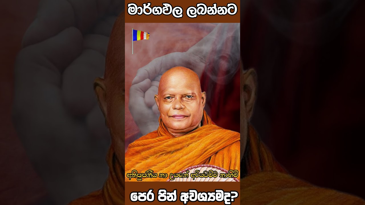 #shorts මාර්ගඵල ලබන්නට පෙර පින් අවශ්&zwj;යමද? #nauyane_ariyadhamma_thero  #chiththavivekashramaya