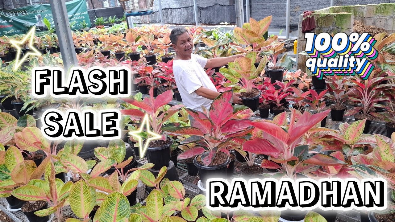 EDISI RAMADHAN !! HEMAT, EKONOMIS, JUMBO !!