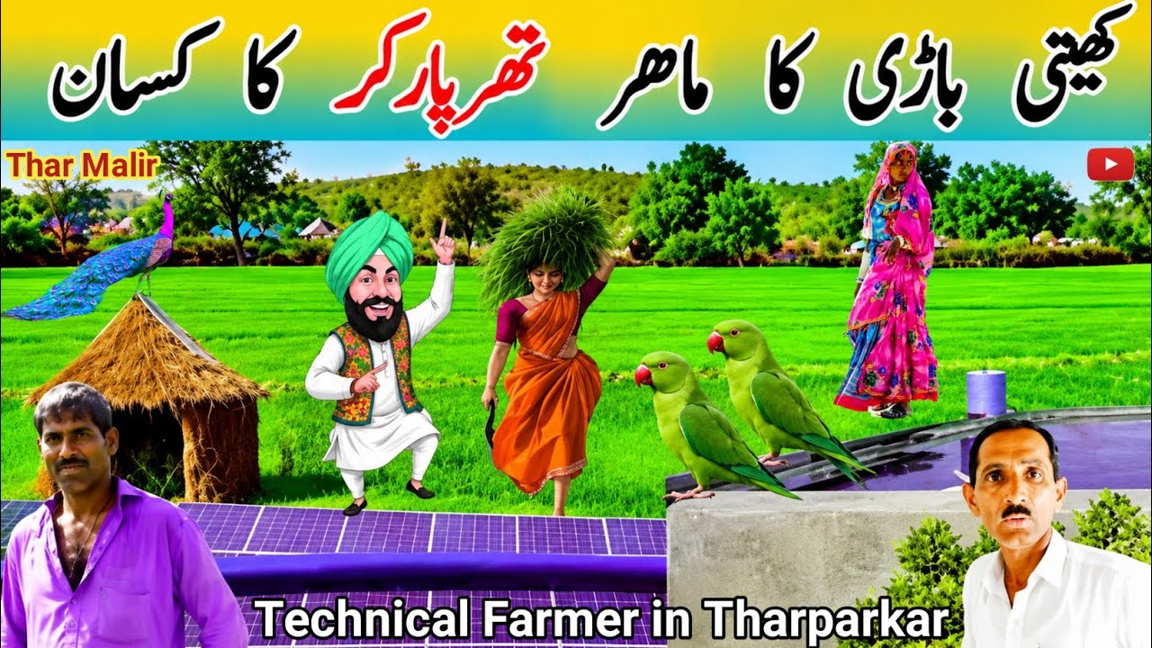 How To Expert Hindu Farmer of Tharparkar| Traditional Agriculture in Thar Desert Pakistan|TharMalir 