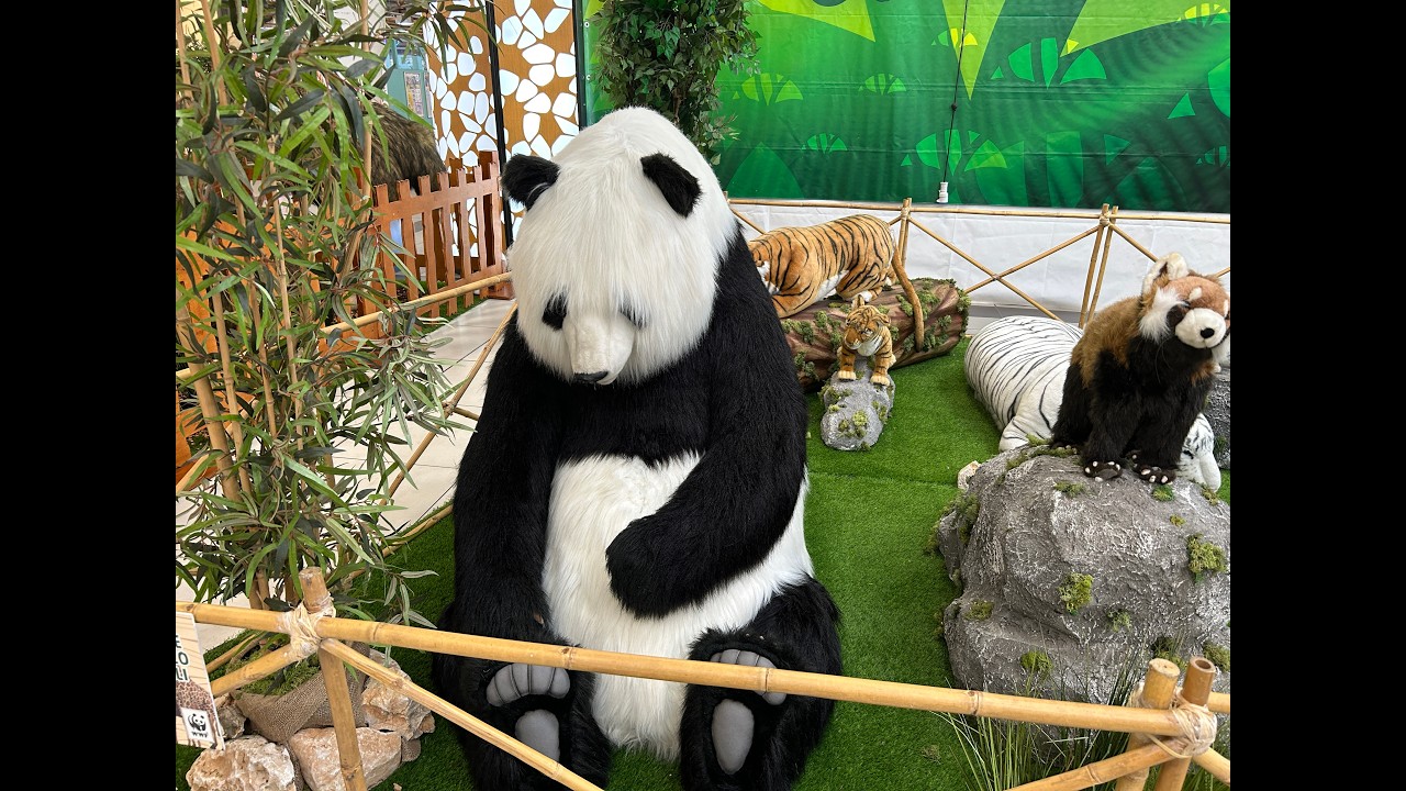 Casilino visitiamo la collezione di animali
