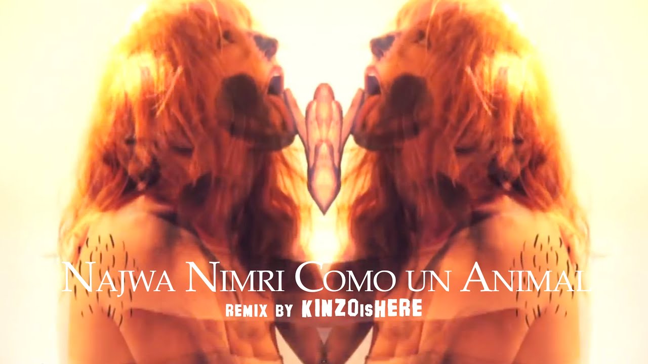 Najwa Nimri como un animal (KINZOisHERE remix)