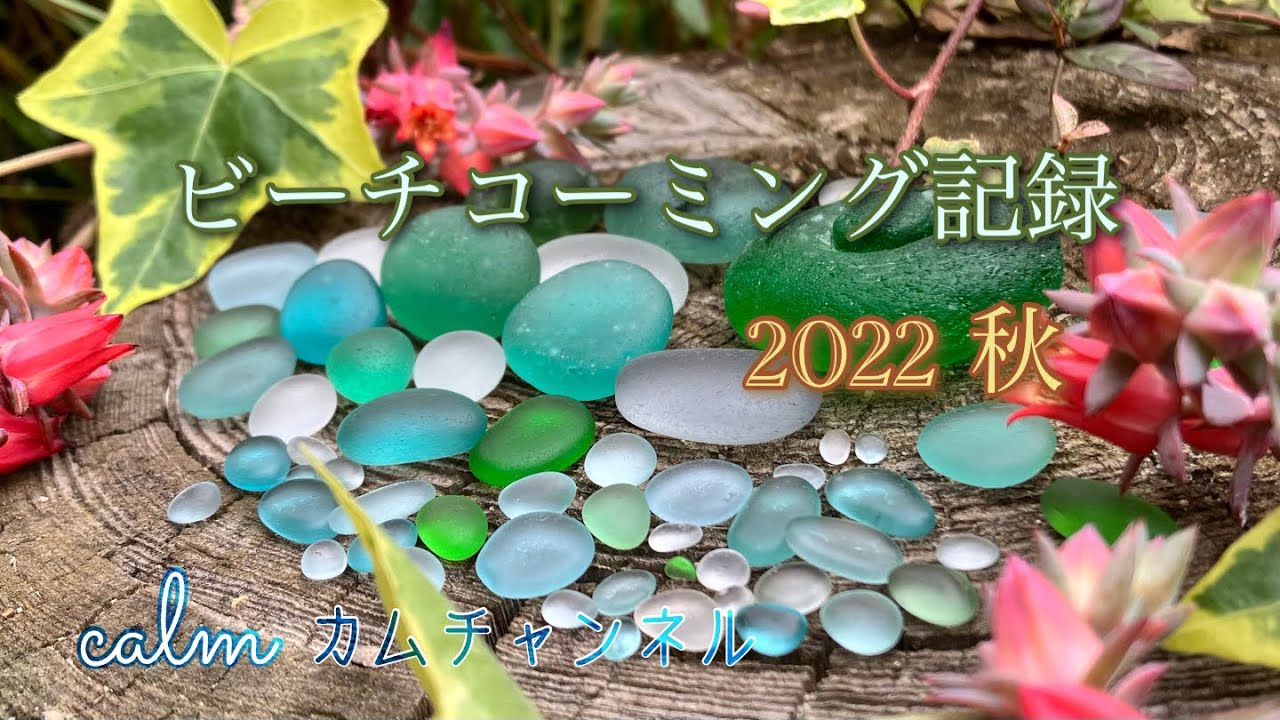 ビーチコーミング記録 2022 秋