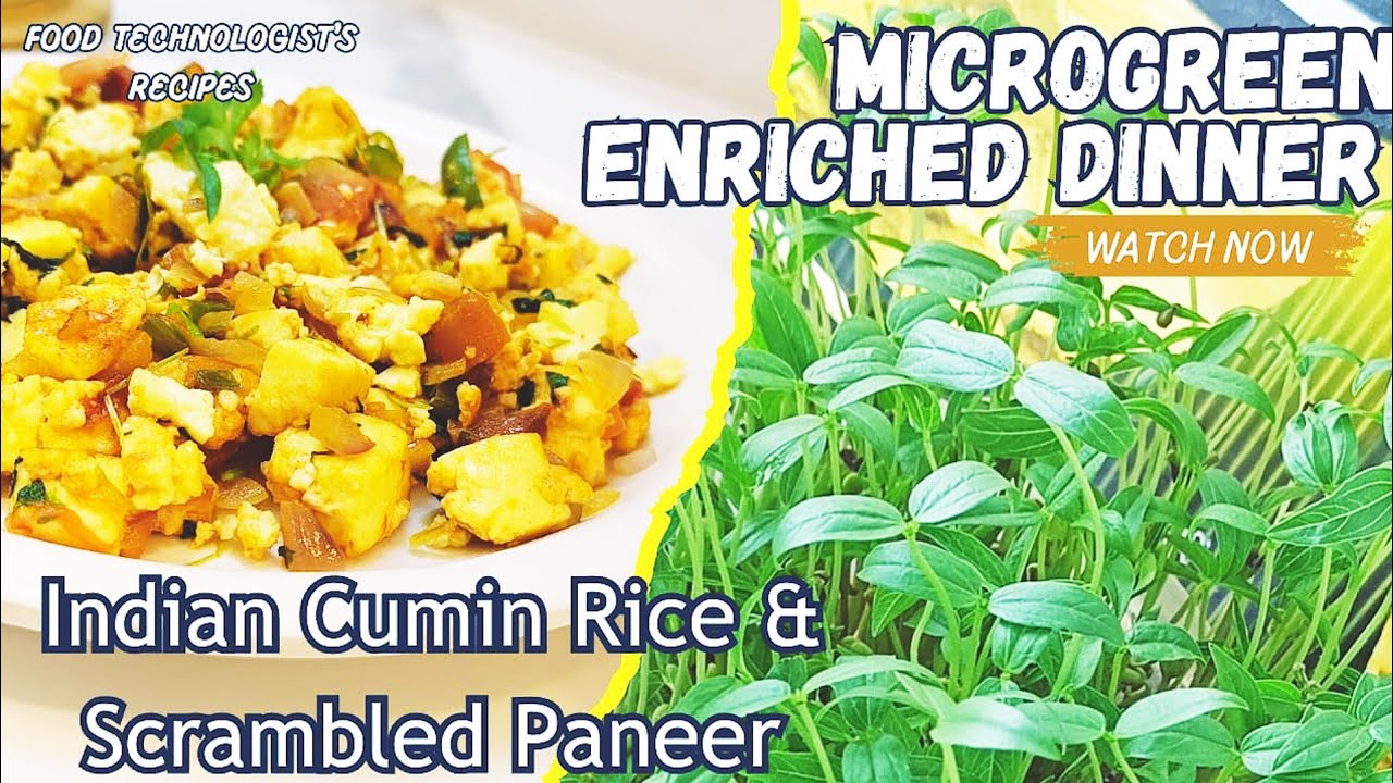 Easy Microgreen Recipes I added Microgreens to Dinner Healthy Jeera Rice Paneer Bhurji