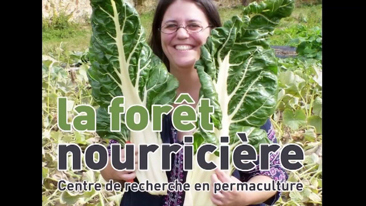 Visite de la pépinière en septembre 2018