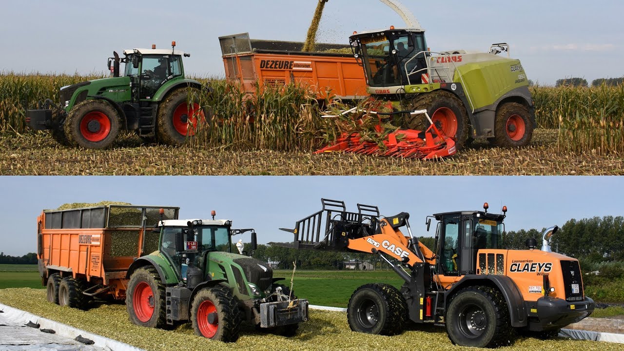 Claas Jaguar 950 & Case 821G - Loonwerken Claeys