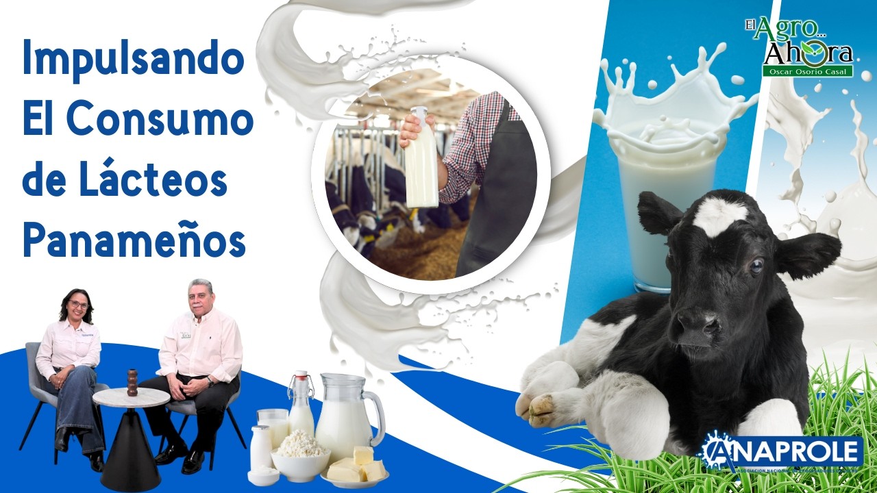 # Agro. ANAPROLE y su campaña de Consumo de la Leche.