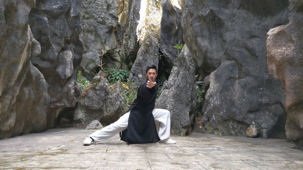 Lohan (Luo Han) Qigong by Master Aaron Khor