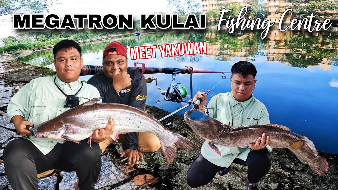 Kolam Megatron Fishing Centre | Disaat Detik Keli Afrika Membalun Umpan #recommended