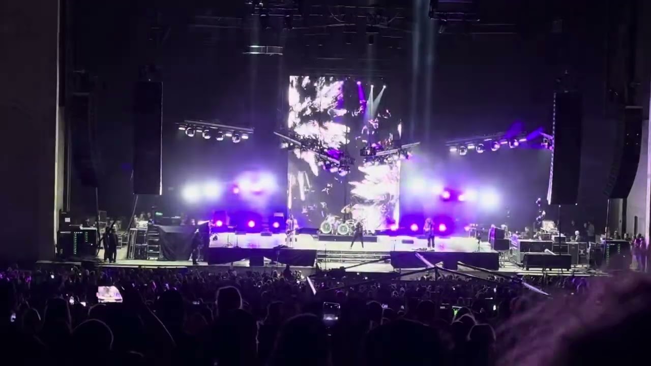 Sound of madness