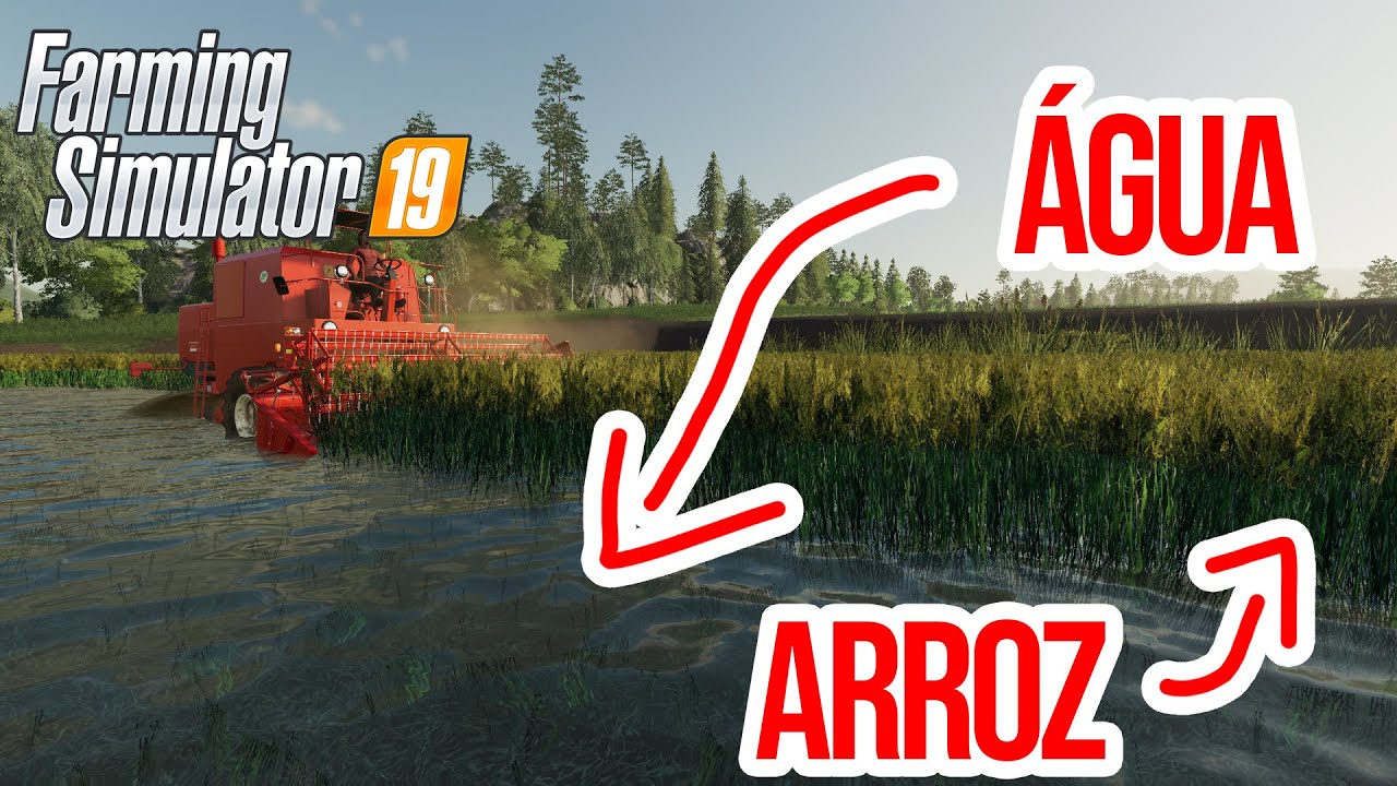 Arroz irrigado nos consoles: Como criar os campos, irrigar, plantar e colher | FARMING SIMULATOR 19