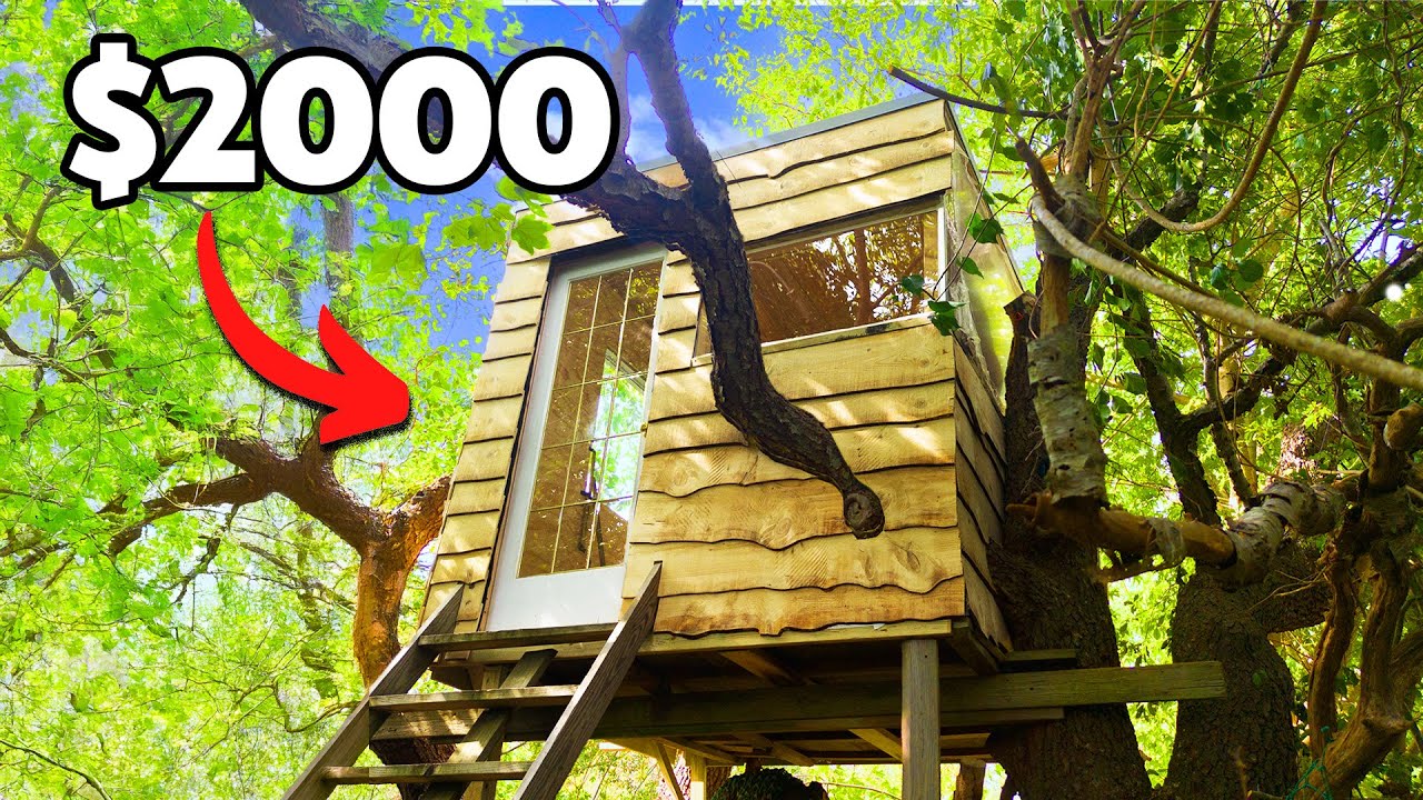 I Tried to Build a Cozy Treehouse for $2000