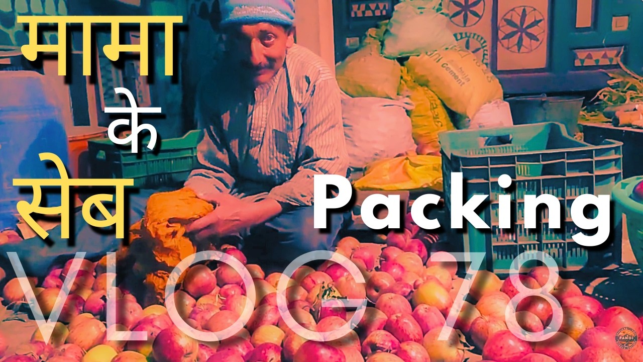 मामा के सेब ( Packing ) Vlog 78 - Vishal Thakur #Pangitours