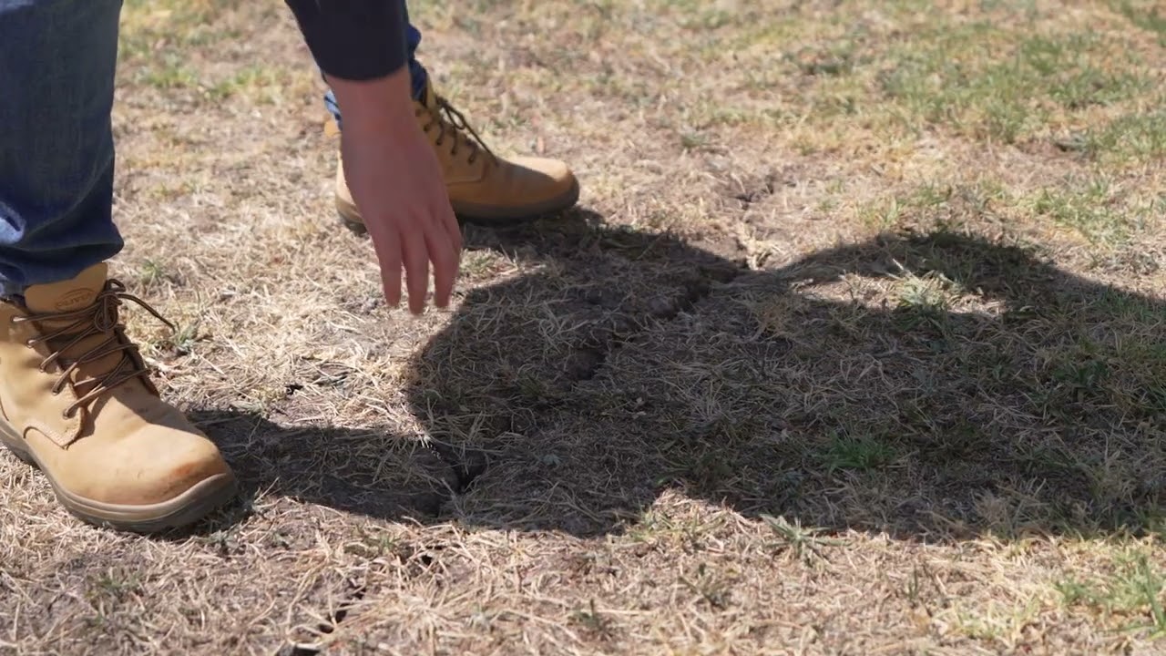 Water main education - Part 1