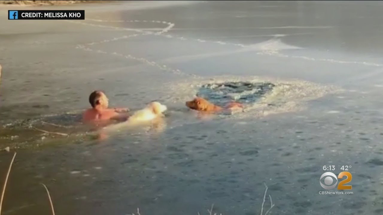 Yonkers Man Saves Dogs From Frozen Reservoir