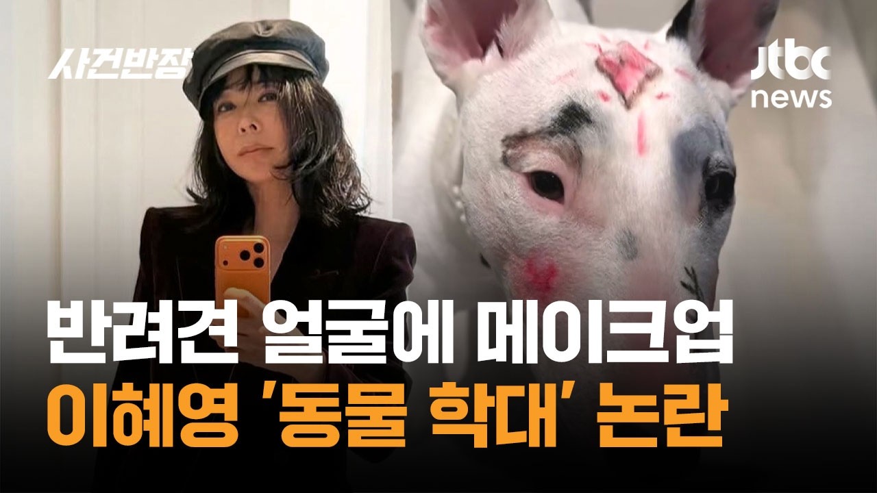 반려견 얼굴에 메이크업&hellip;배우 이혜영 '동물 학대' 논란 / JTBC 사건반장