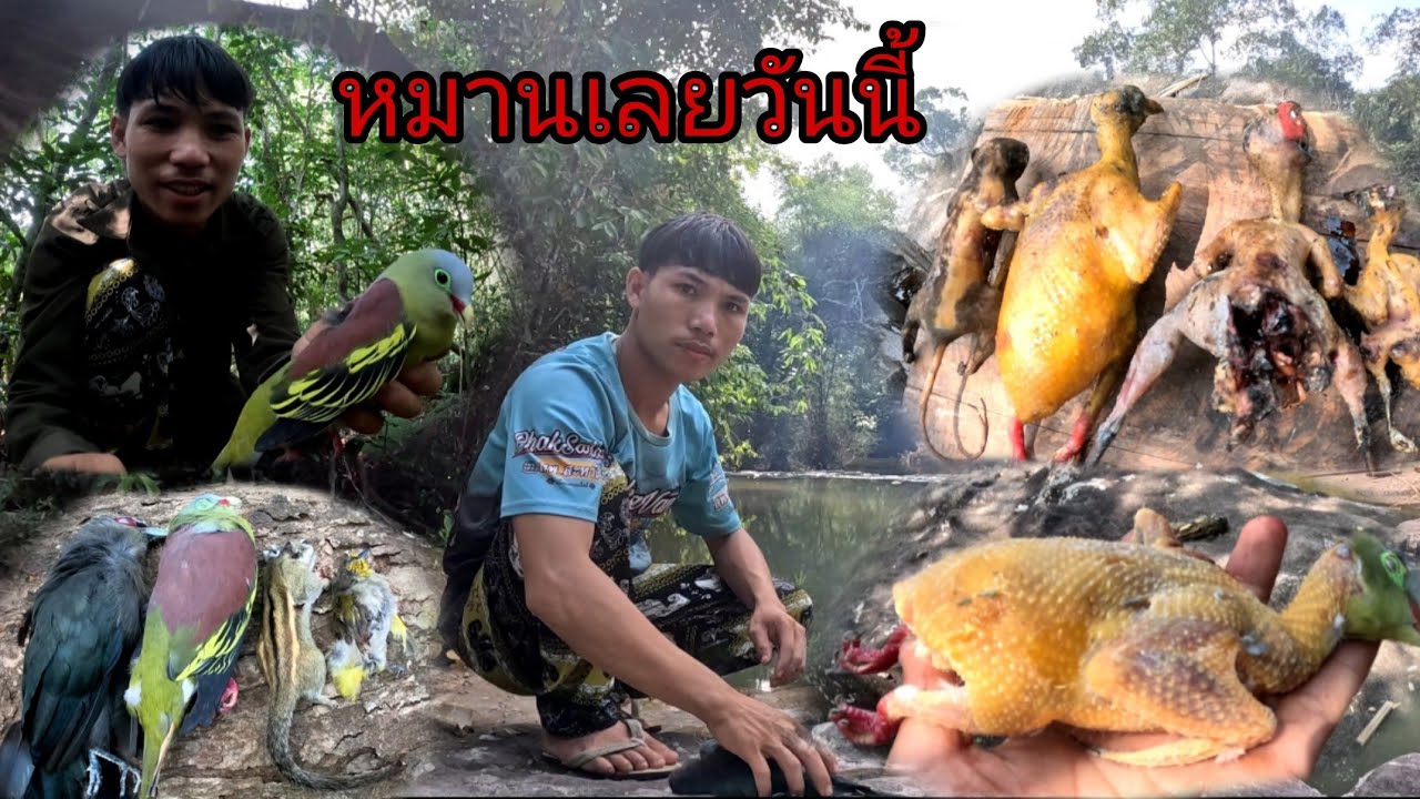 เข้าป่าคนเดียวหมานเลย/ເຂົ້າປ່າຄົນດຽວຫມານ