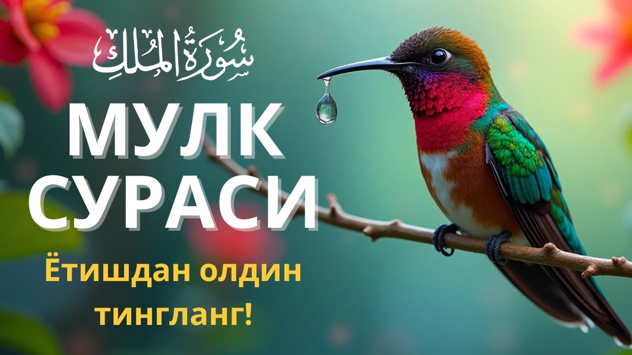 Мулк сураси - Ётишдан олдин тингланг! Тонги дуо / Mulk surasi - сура Мулк