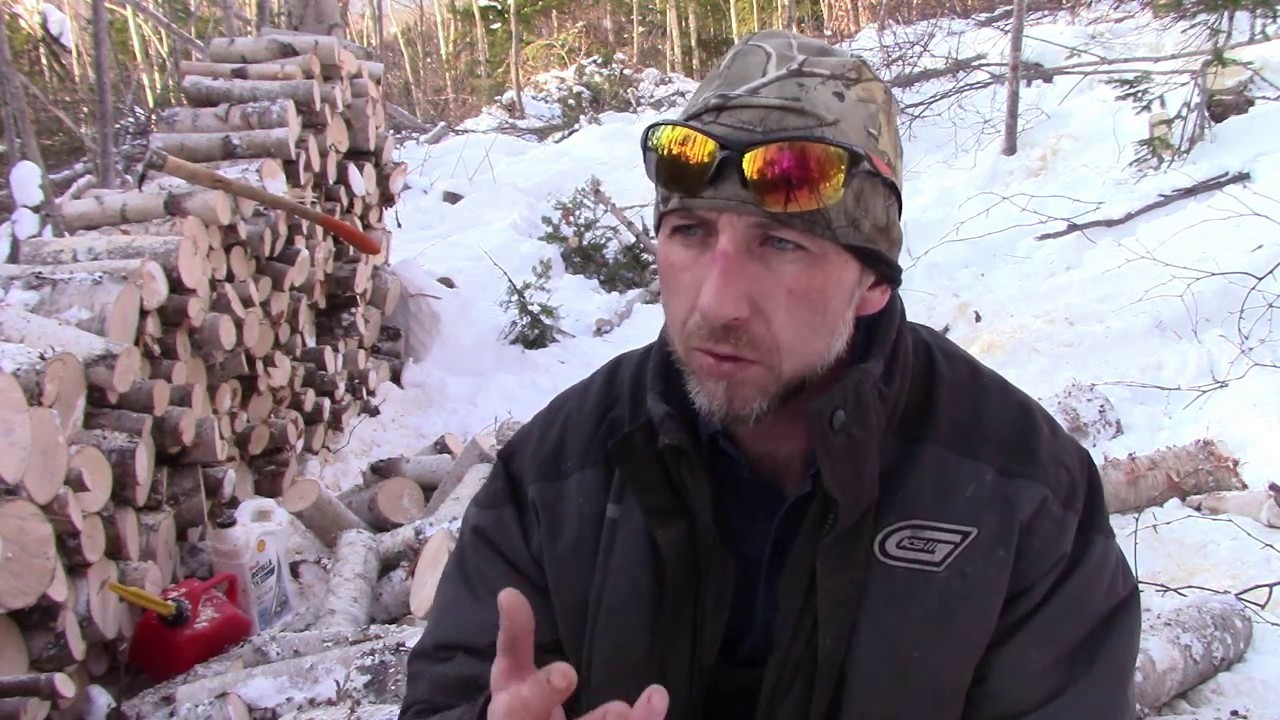 CUTTING BIRCH FIREWOOD