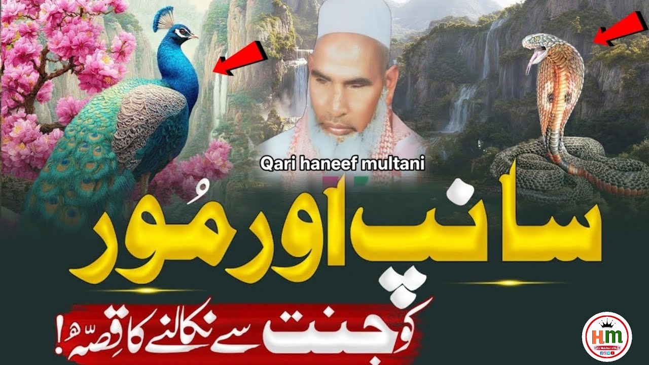 The Story of Snake and Peacock | Heart Touching Bayan by Qari Hanif Multani